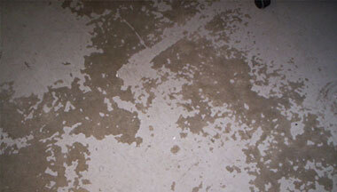 swimming-pool-concrete-deck
